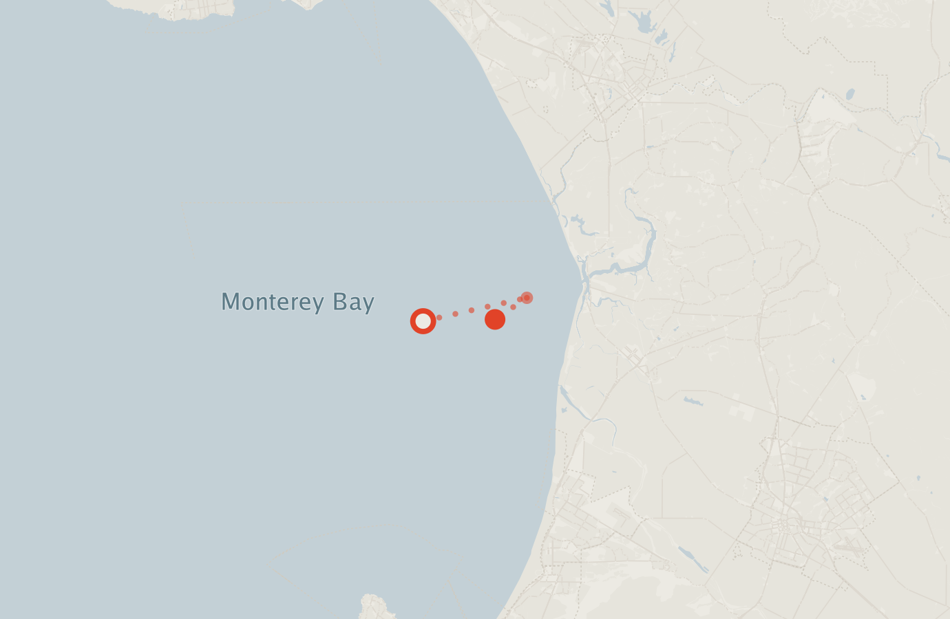 Activity map — real sighting points on an OpenStreetMap basemap