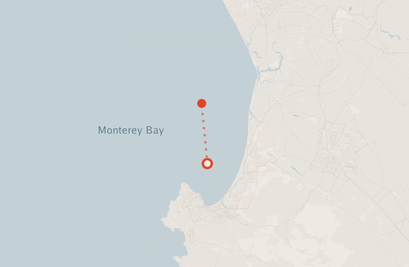 Activity map — real sighting points on an OpenStreetMap basemap