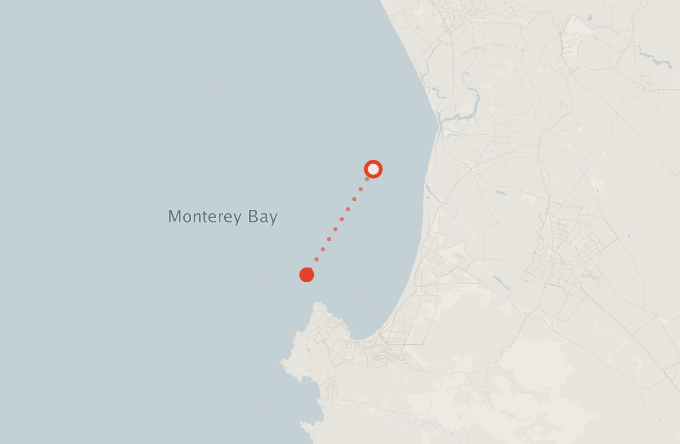 Activity map — real sighting points on an OpenStreetMap basemap