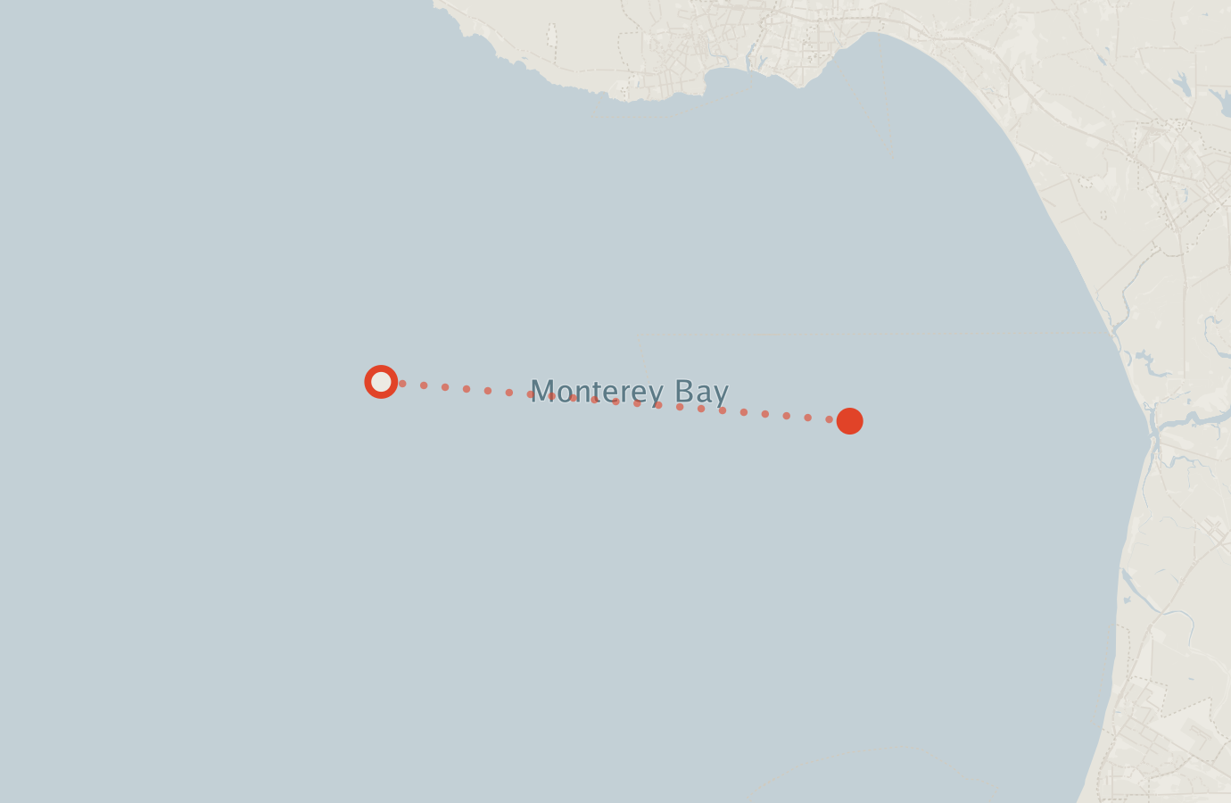 Activity map — real sighting points on an OpenStreetMap basemap