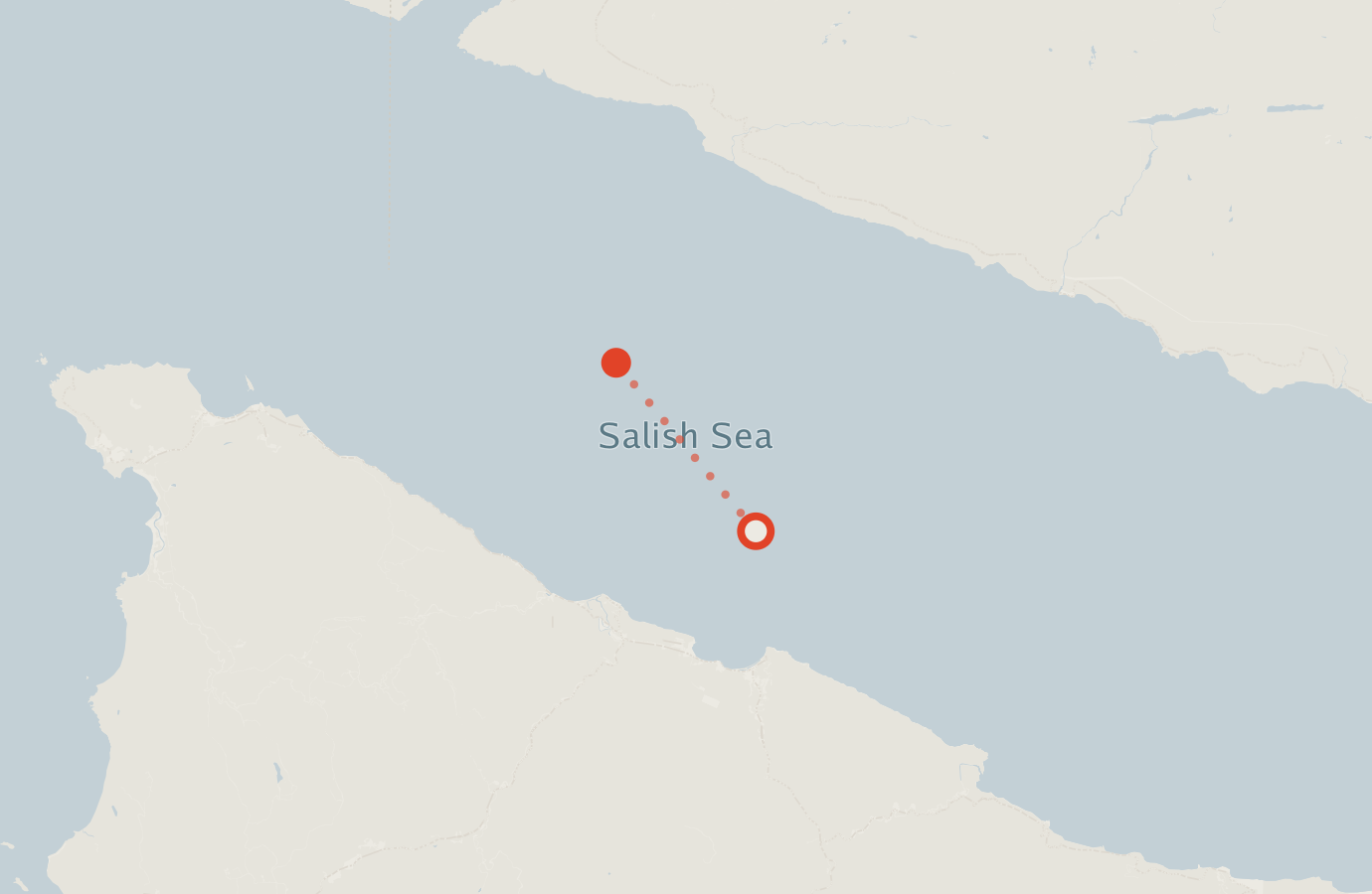 Activity map — real sighting points on an OpenStreetMap basemap