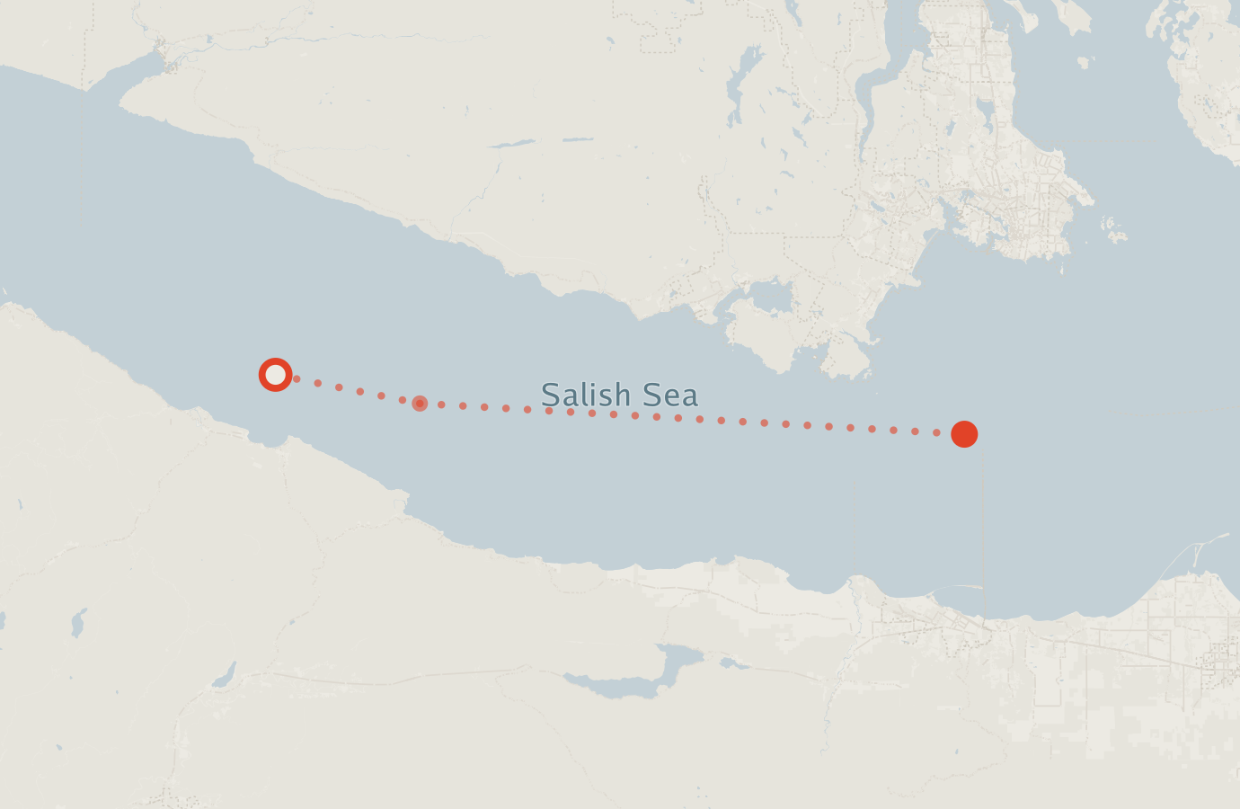 Activity map — real sighting points on an OpenStreetMap basemap