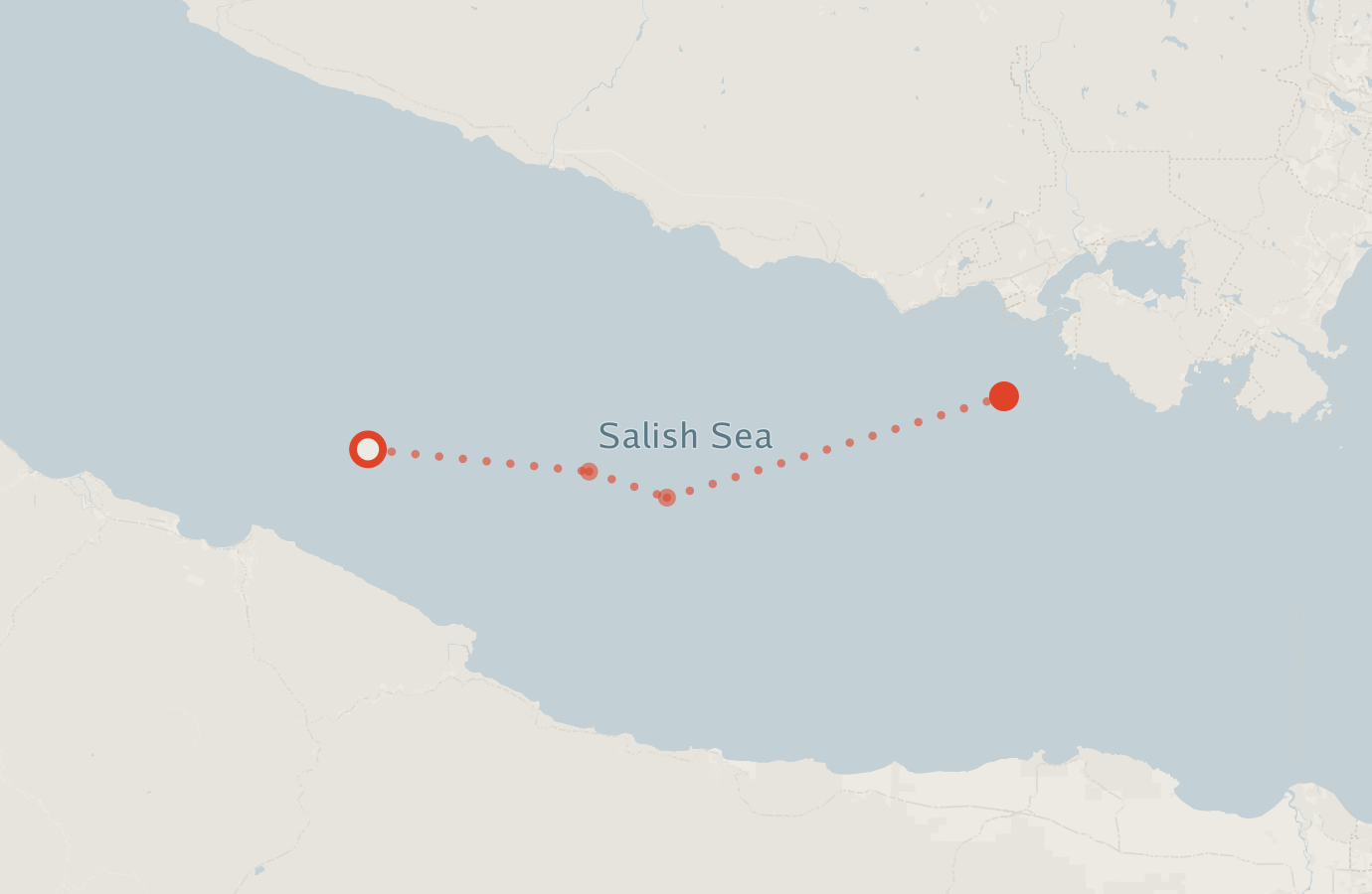 Activity map — real sighting points on an OpenStreetMap basemap