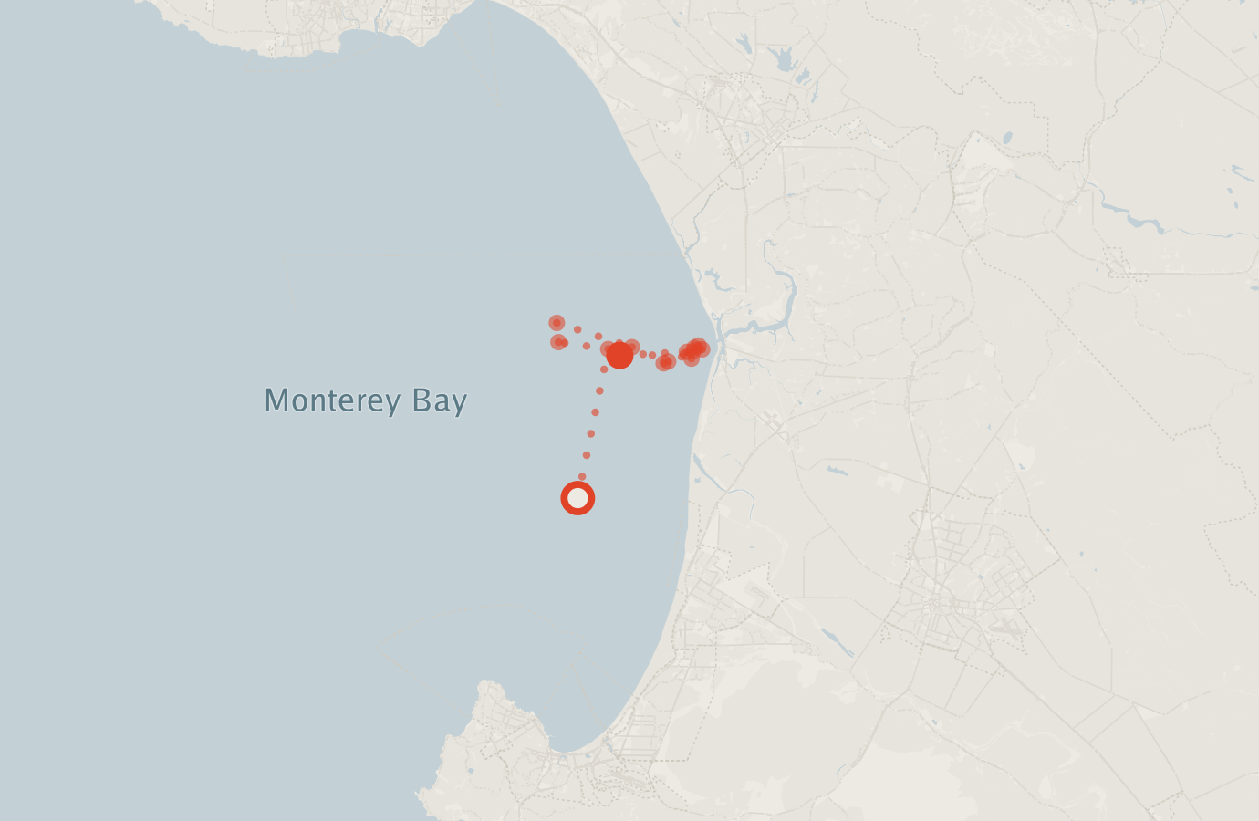Activity map — real sighting points on an OpenStreetMap basemap