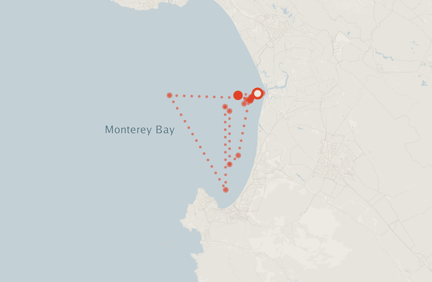 Activity map — real sighting points on an OpenStreetMap basemap