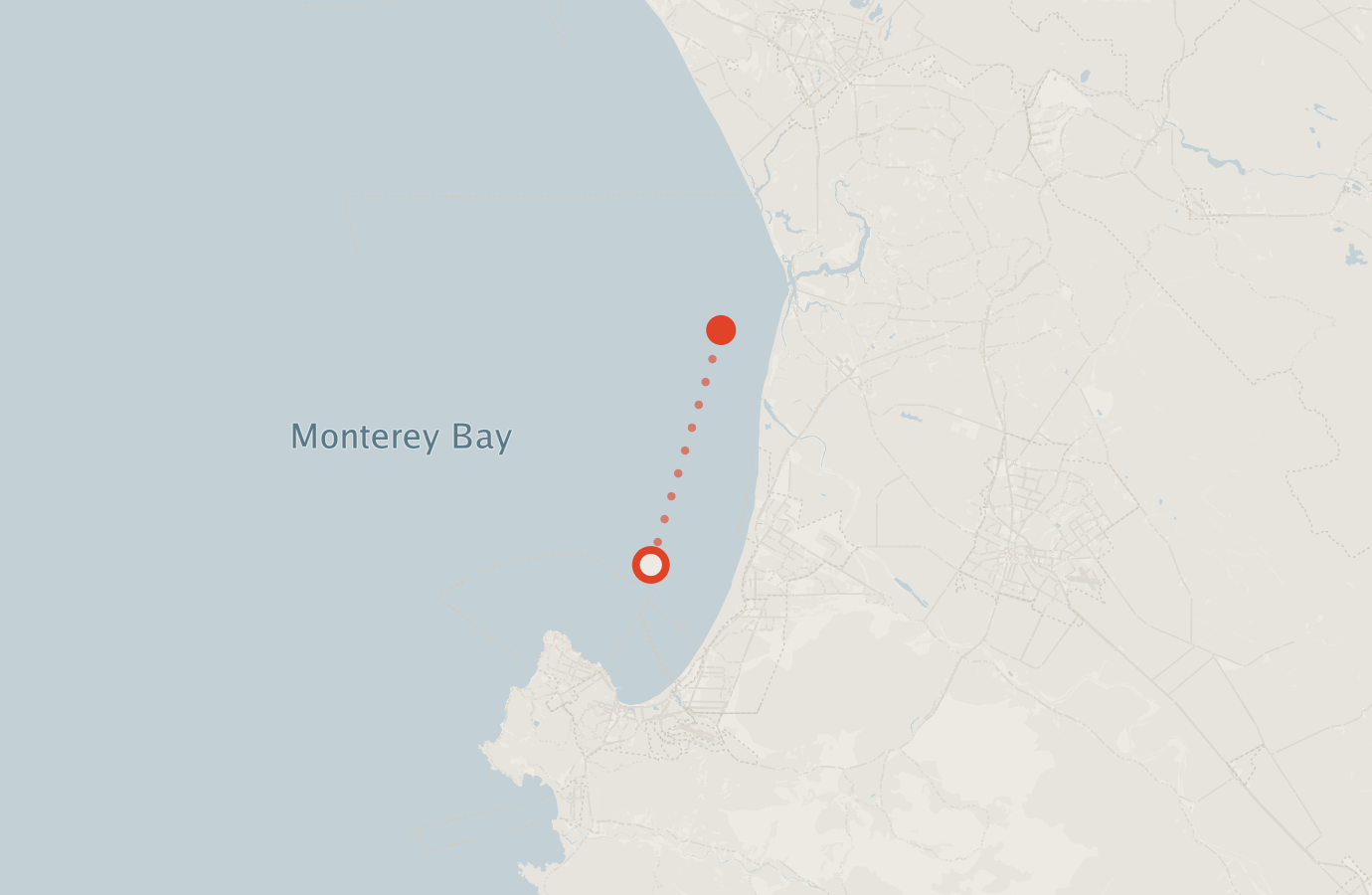 Activity map — real sighting points on an OpenStreetMap basemap