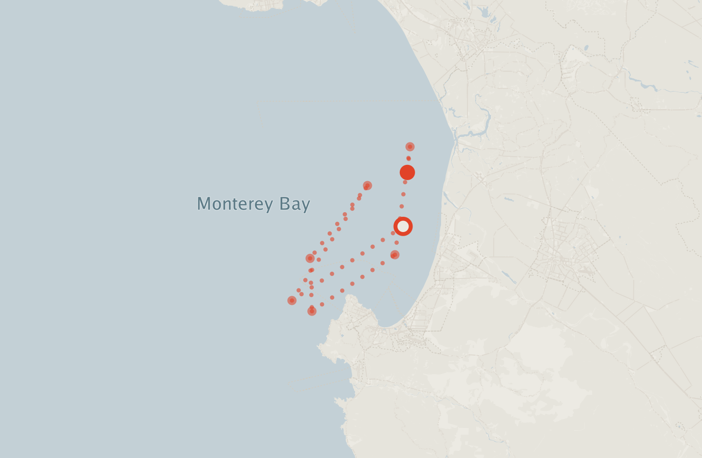 Activity map — real sighting points on an OpenStreetMap basemap