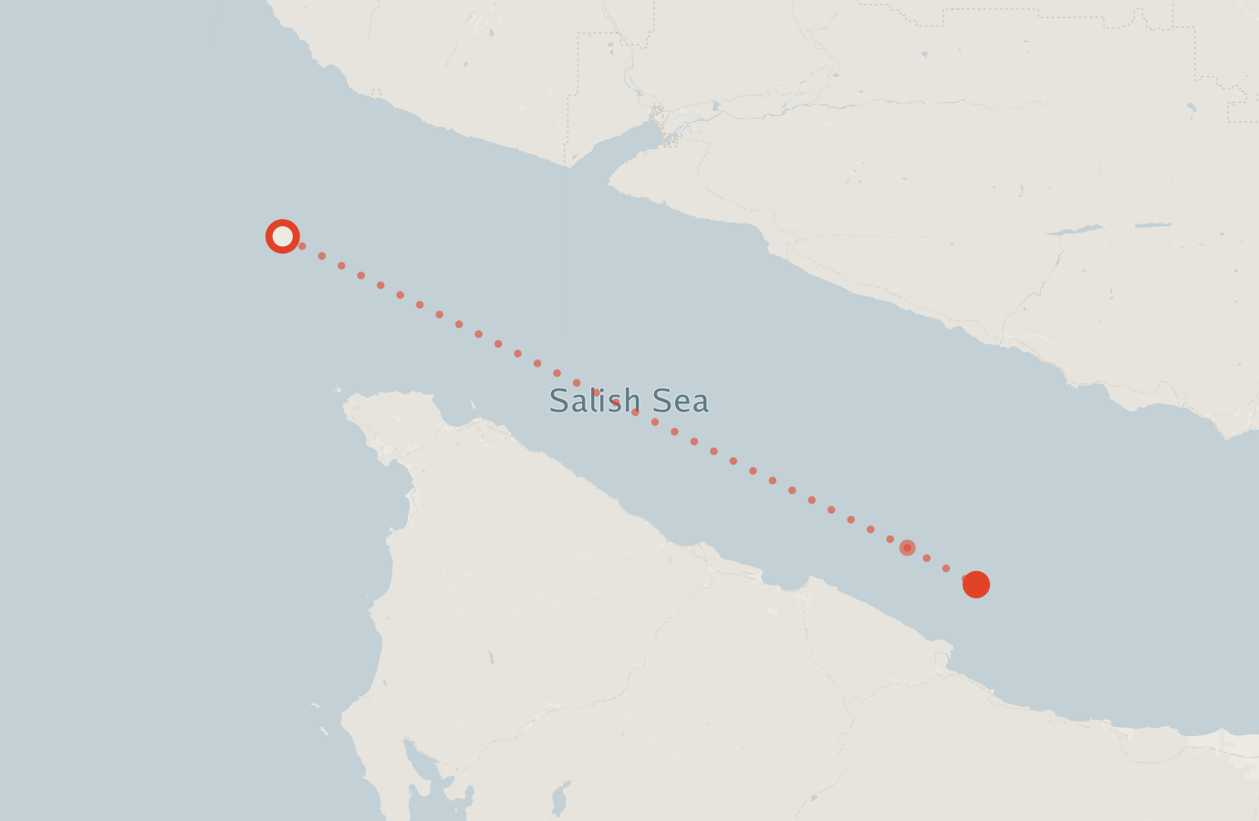 Activity map — real sighting points on an OpenStreetMap basemap