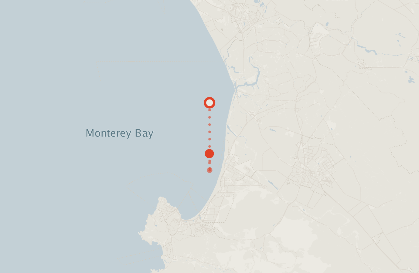 Activity map — real sighting points on an OpenStreetMap basemap