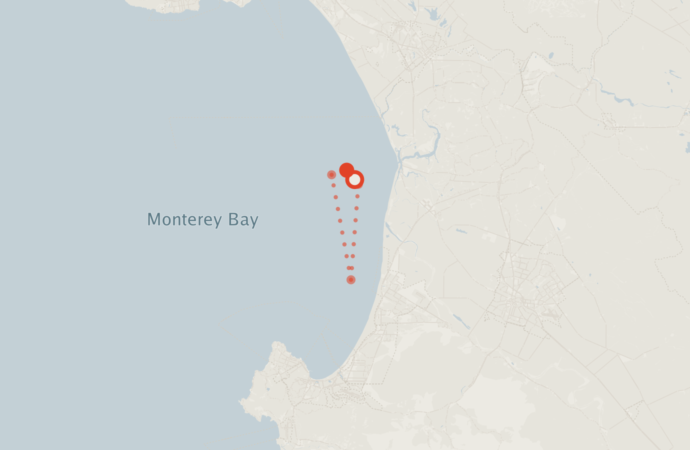 Activity map — real sighting points on an OpenStreetMap basemap
