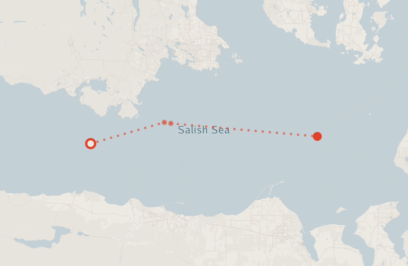 Activity map — real sighting points on an OpenStreetMap basemap