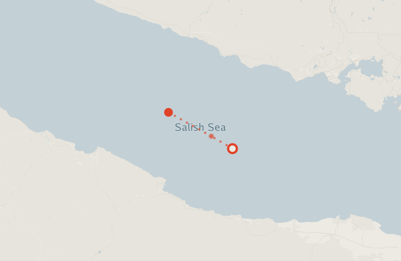 Activity map — real sighting points on an OpenStreetMap basemap