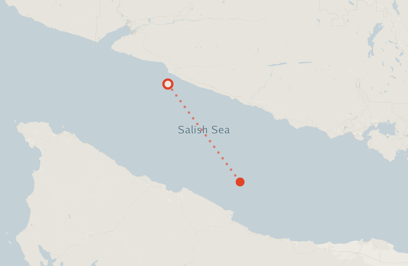 Activity map — real sighting points on an OpenStreetMap basemap