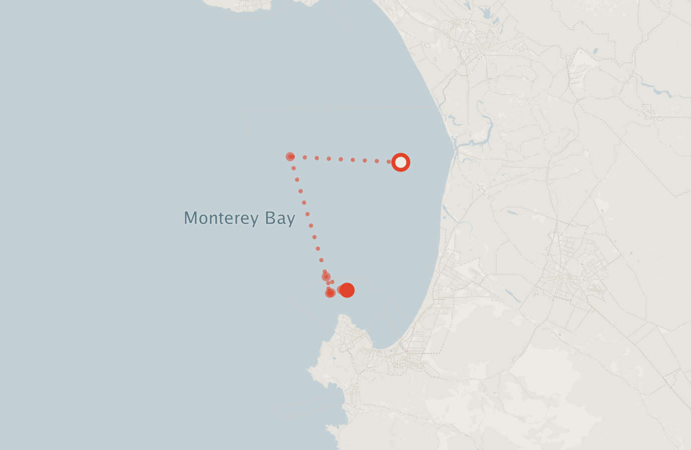 Activity map — real sighting points on an OpenStreetMap basemap
