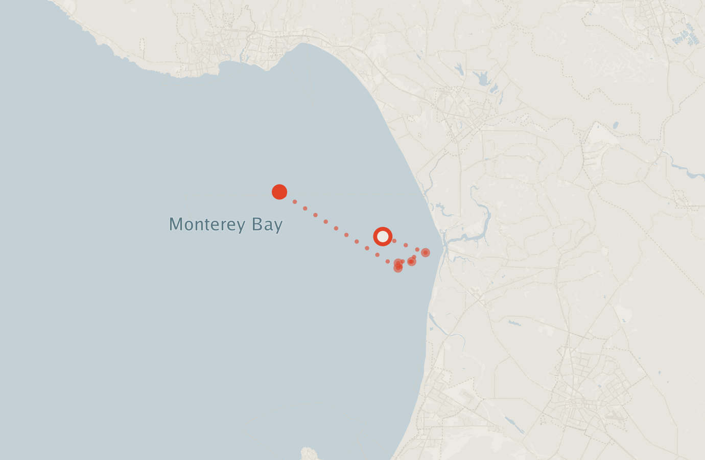 Activity map — real sighting points on an OpenStreetMap basemap