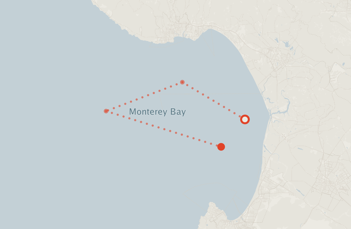 Activity map — real sighting points on an OpenStreetMap basemap