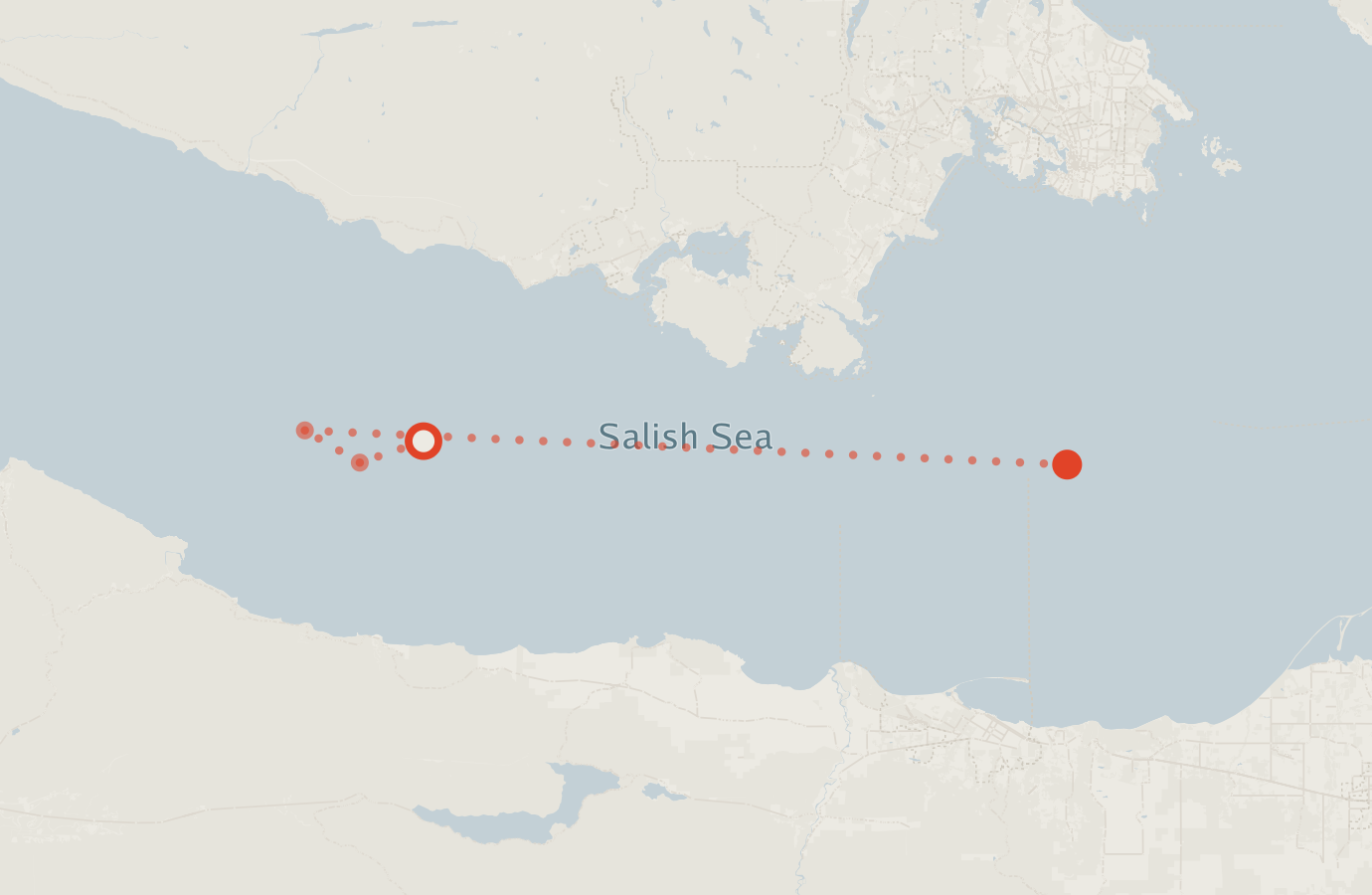 Activity map — real sighting points on an OpenStreetMap basemap
