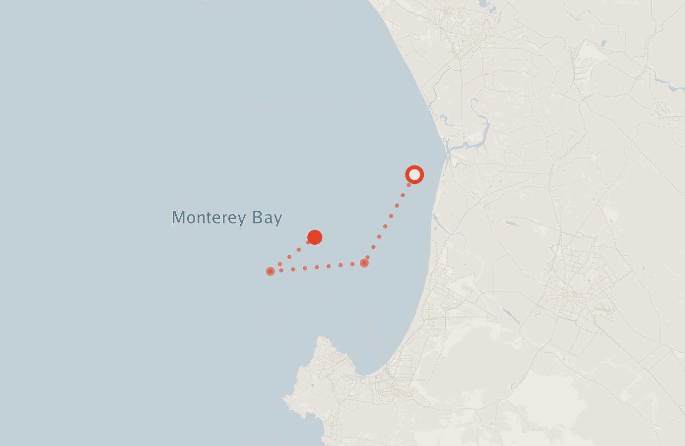 Activity map — real sighting points on an OpenStreetMap basemap