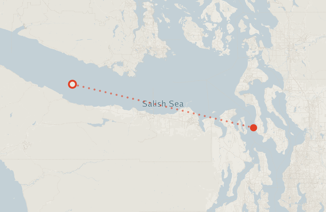 Activity map — real sighting points on an OpenStreetMap basemap