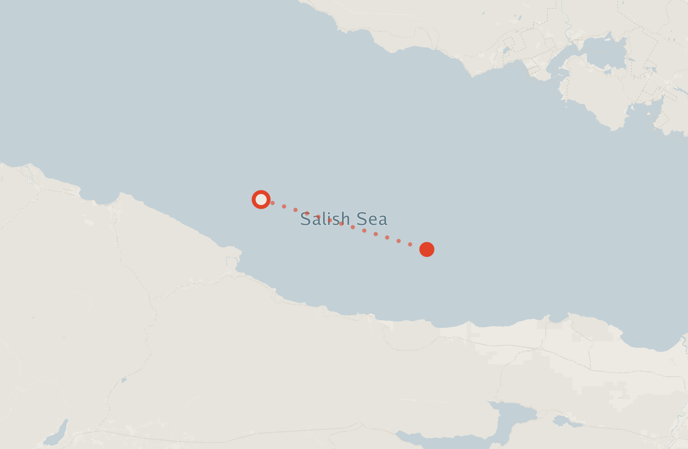 Activity map — real sighting points on an OpenStreetMap basemap