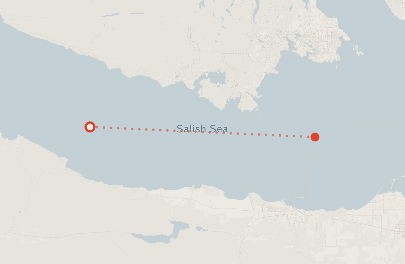 Activity map — real sighting points on an OpenStreetMap basemap