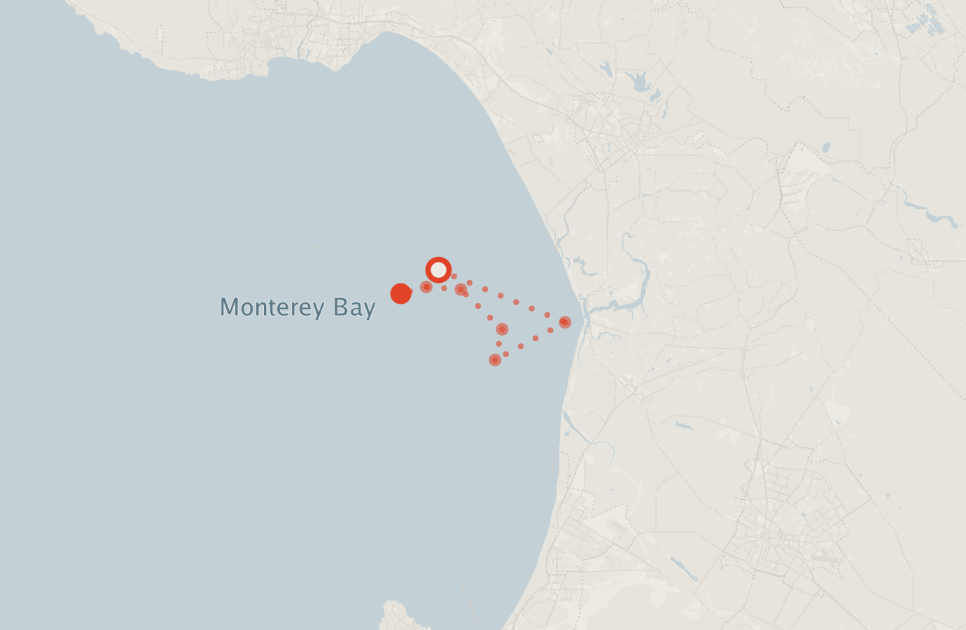 Activity map — real sighting points on an OpenStreetMap basemap