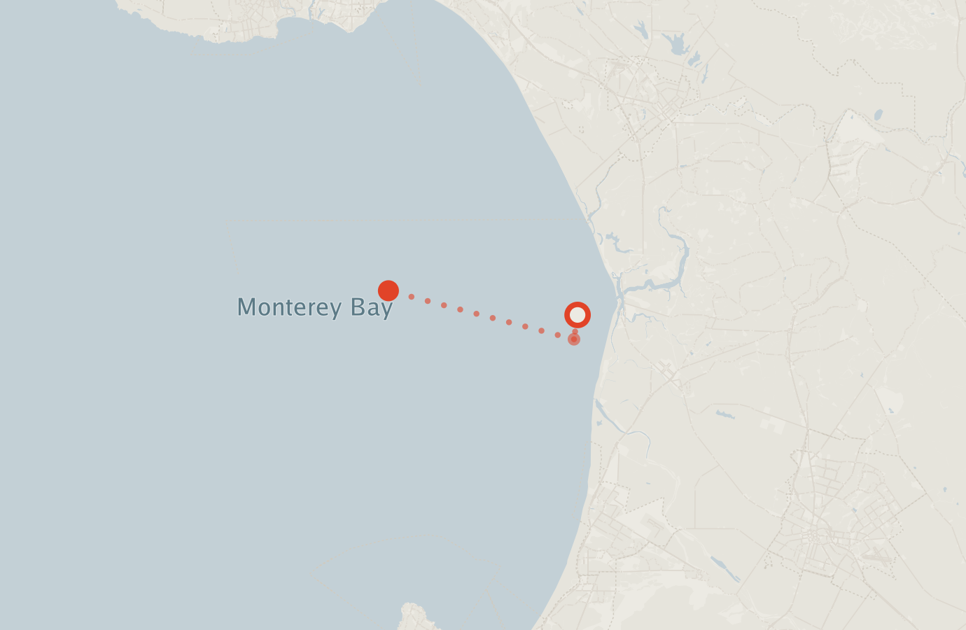 Activity map — real sighting points on an OpenStreetMap basemap