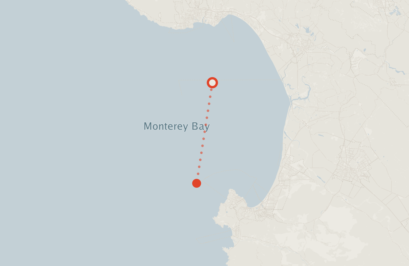 Activity map — real sighting points on an OpenStreetMap basemap