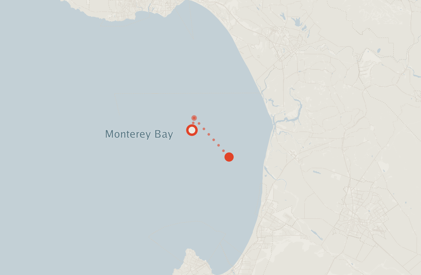 Activity map — real sighting points on an OpenStreetMap basemap