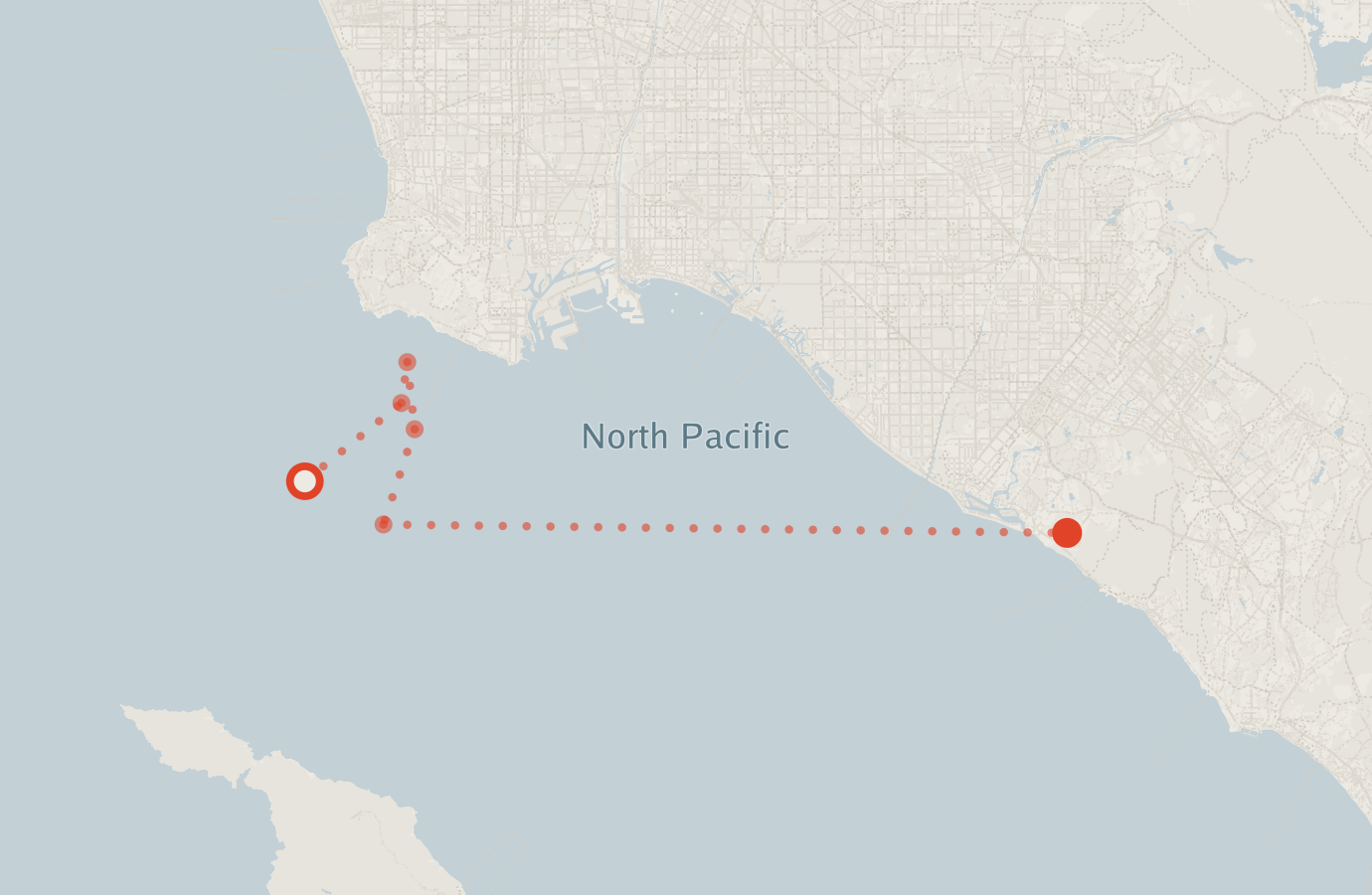 Activity map — real sighting points on an OpenStreetMap basemap