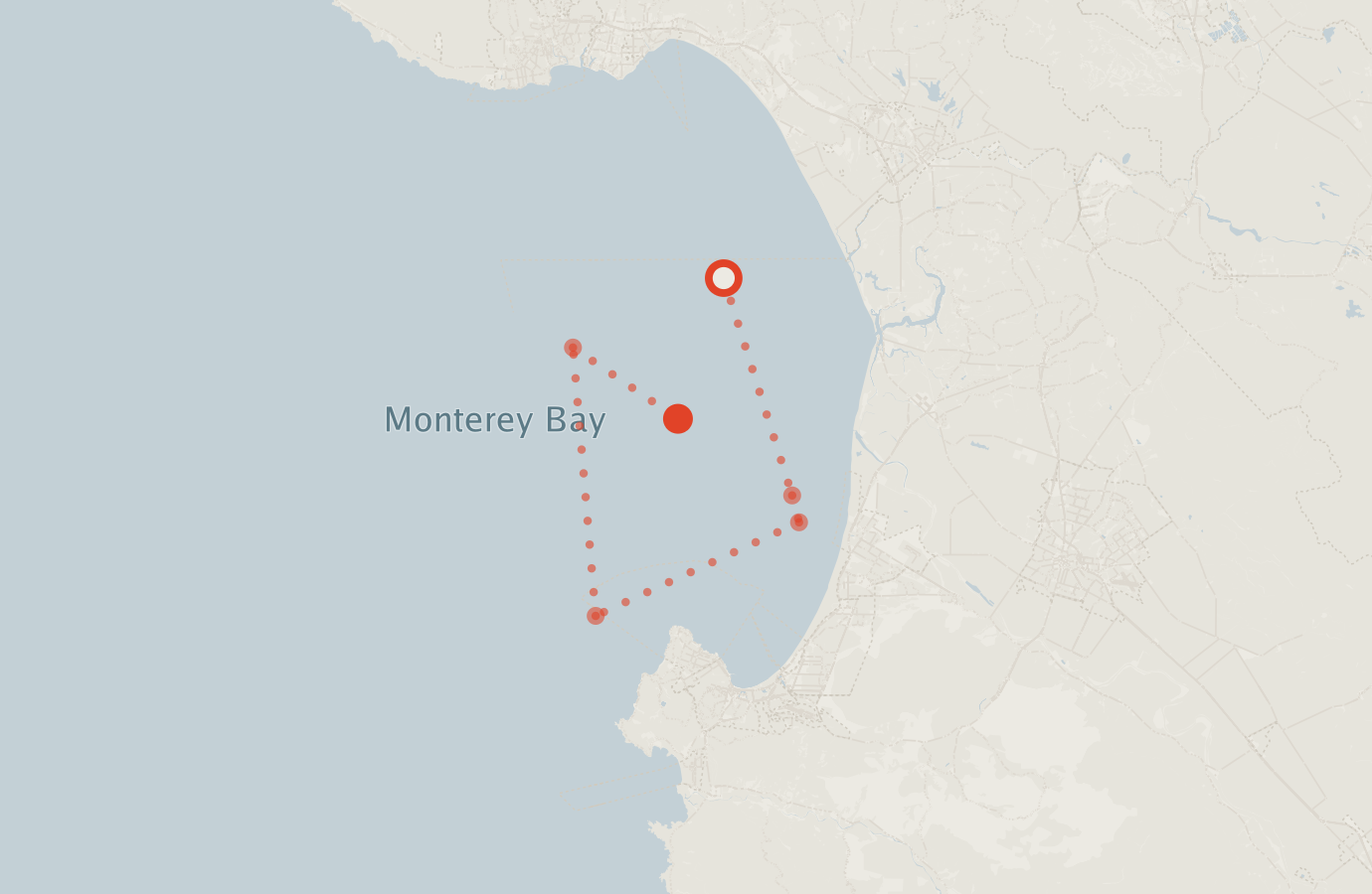 Activity map — real sighting points on an OpenStreetMap basemap