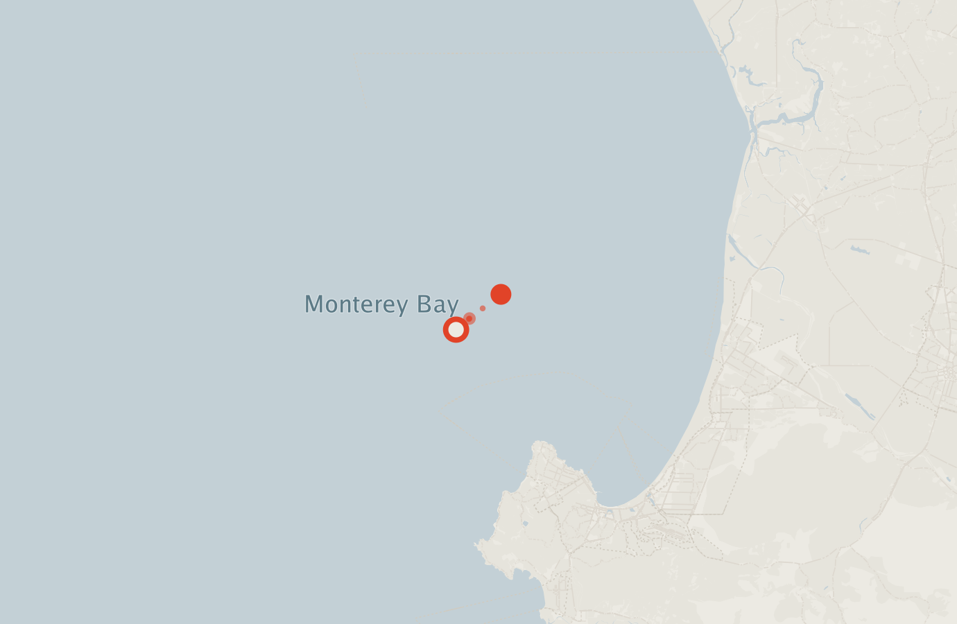 Activity map — real sighting points on an OpenStreetMap basemap