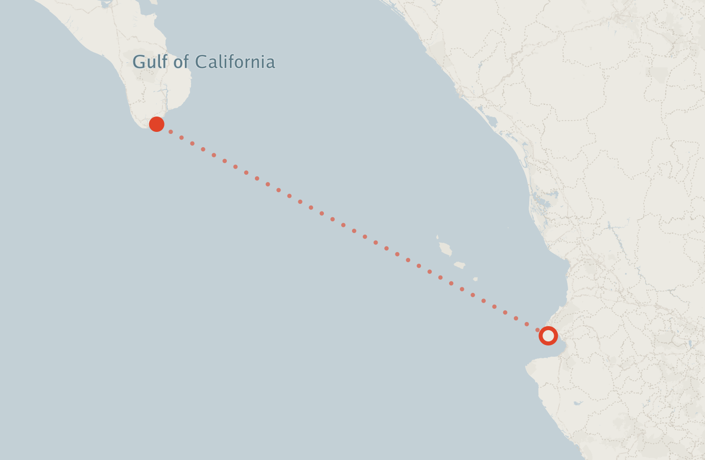 Activity map — real sighting points on an OpenStreetMap basemap