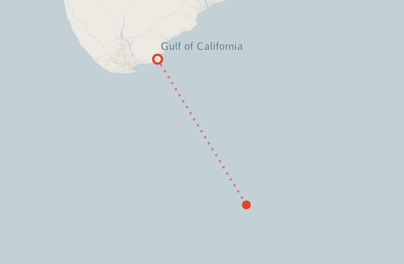 Activity map — real sighting points on an OpenStreetMap basemap