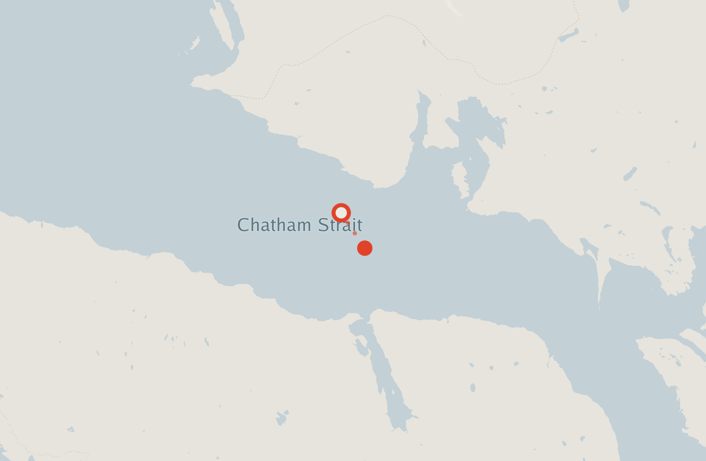 Activity map — real sighting points on an OpenStreetMap basemap
