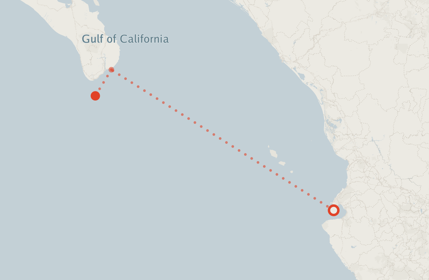 Activity map — real sighting points on an OpenStreetMap basemap