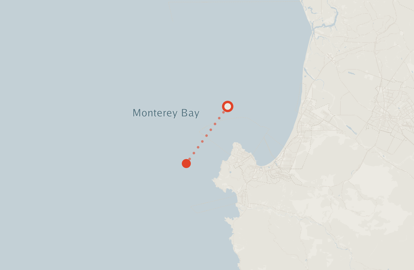 Activity map — real sighting points on an OpenStreetMap basemap