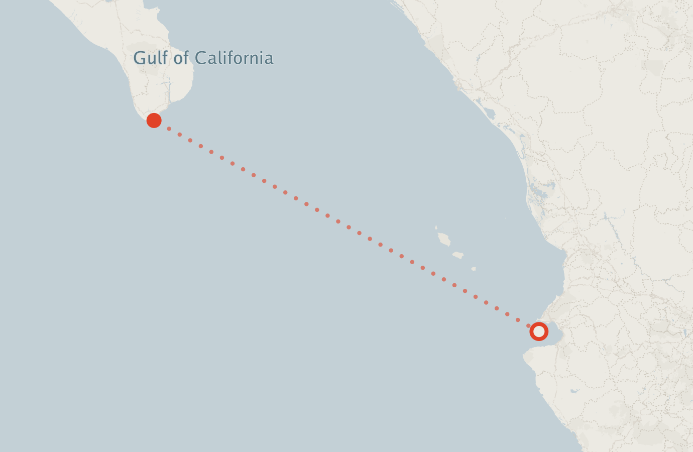Activity map — real sighting points on an OpenStreetMap basemap