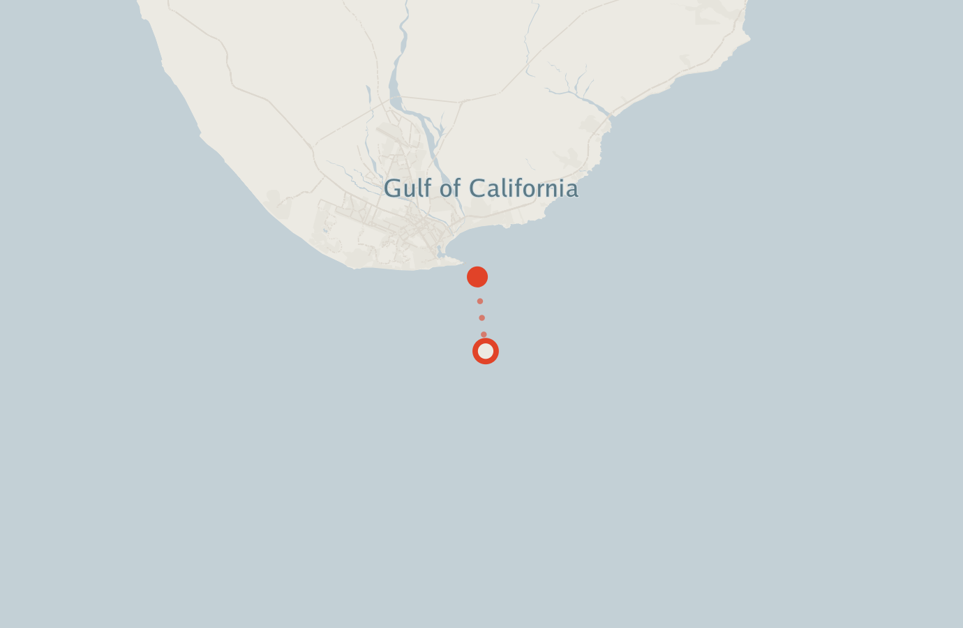 Activity map — real sighting points on an OpenStreetMap basemap
