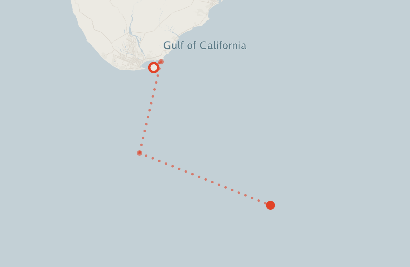 Activity map — real sighting points on an OpenStreetMap basemap