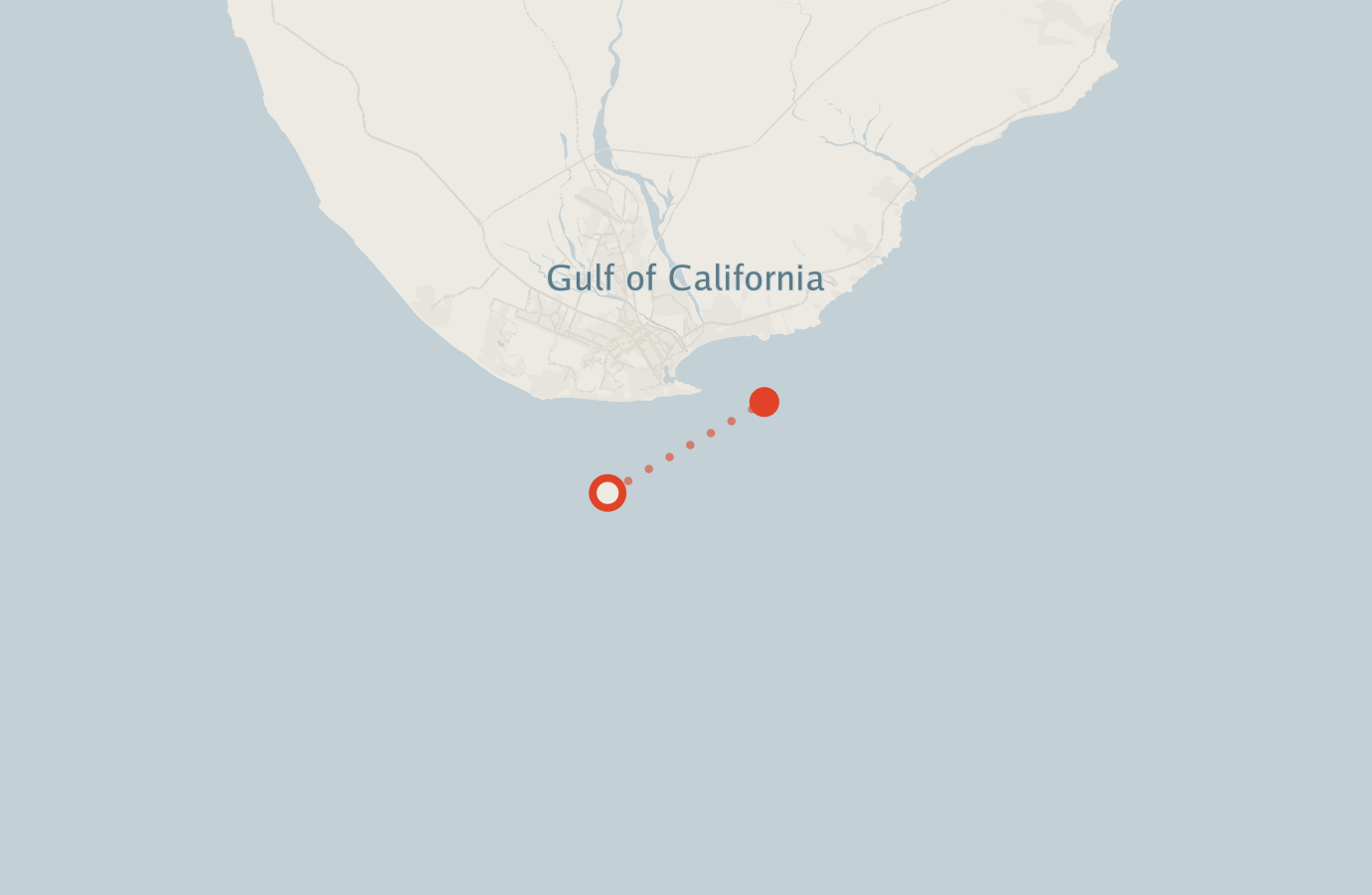 Activity map — real sighting points on an OpenStreetMap basemap