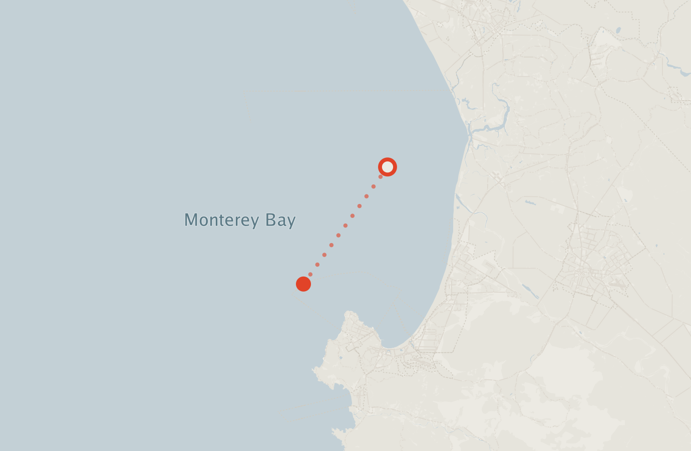 Activity map — real sighting points on an OpenStreetMap basemap