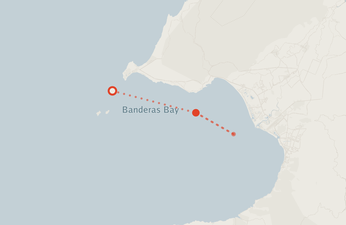 Activity map — real sighting points on an OpenStreetMap basemap