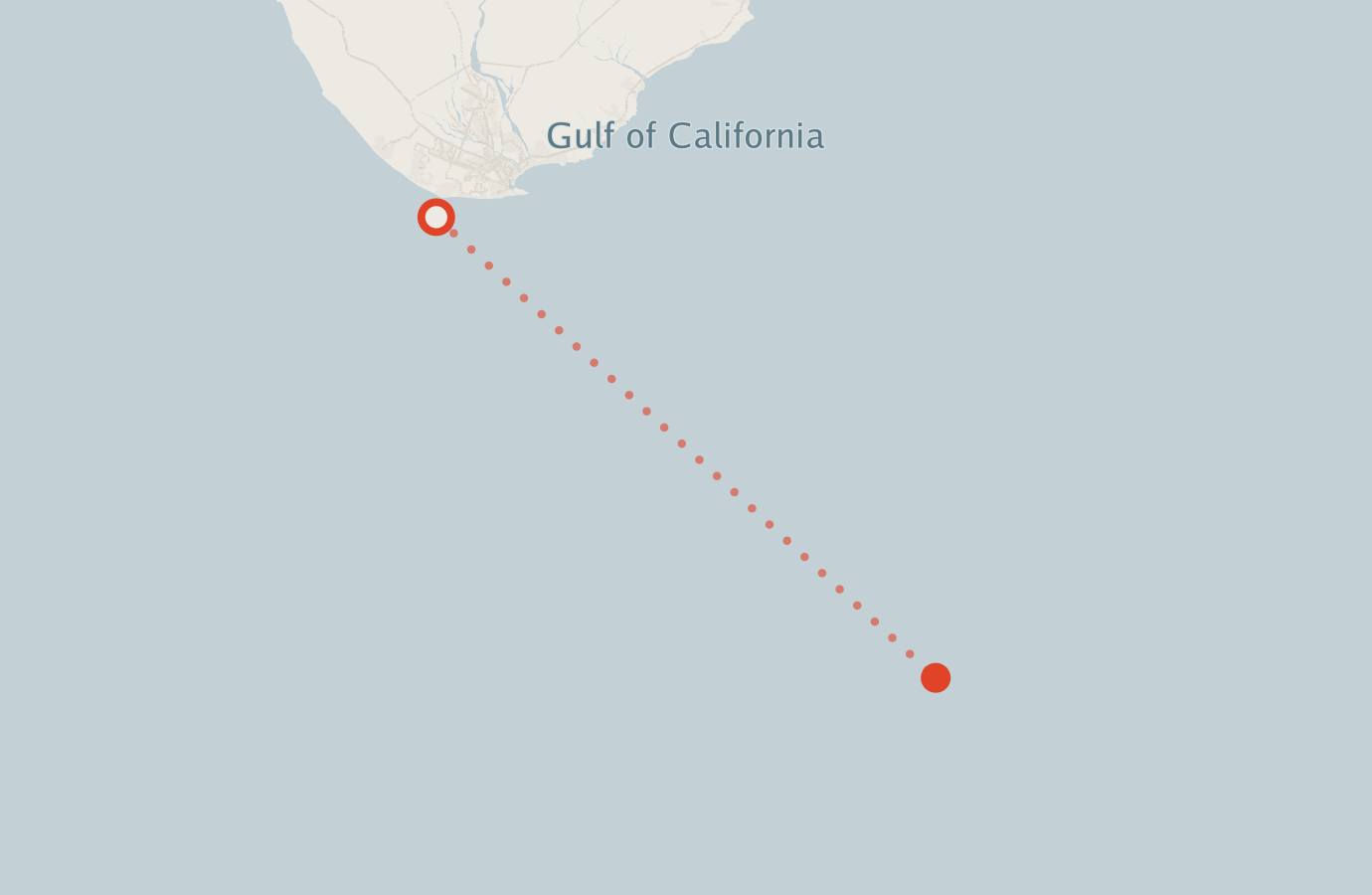 Activity map — real sighting points on an OpenStreetMap basemap