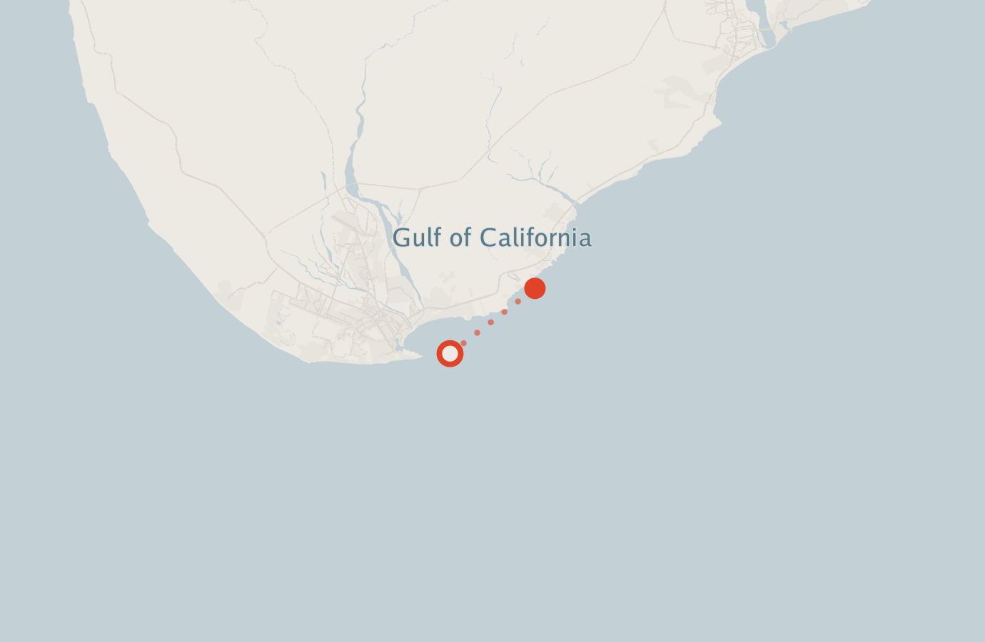 Activity map — real sighting points on an OpenStreetMap basemap