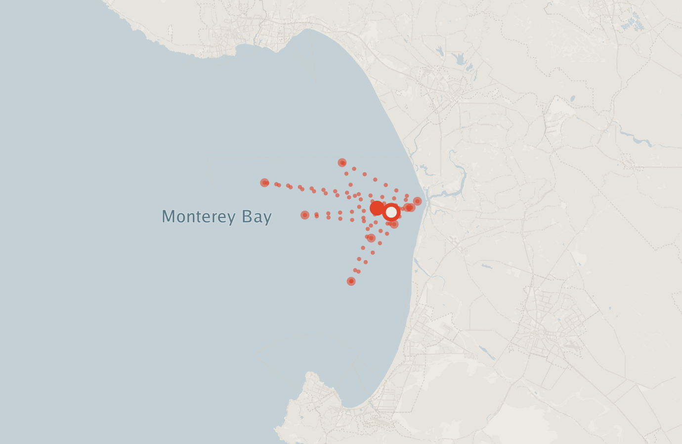 Activity map — real sighting points on an OpenStreetMap basemap