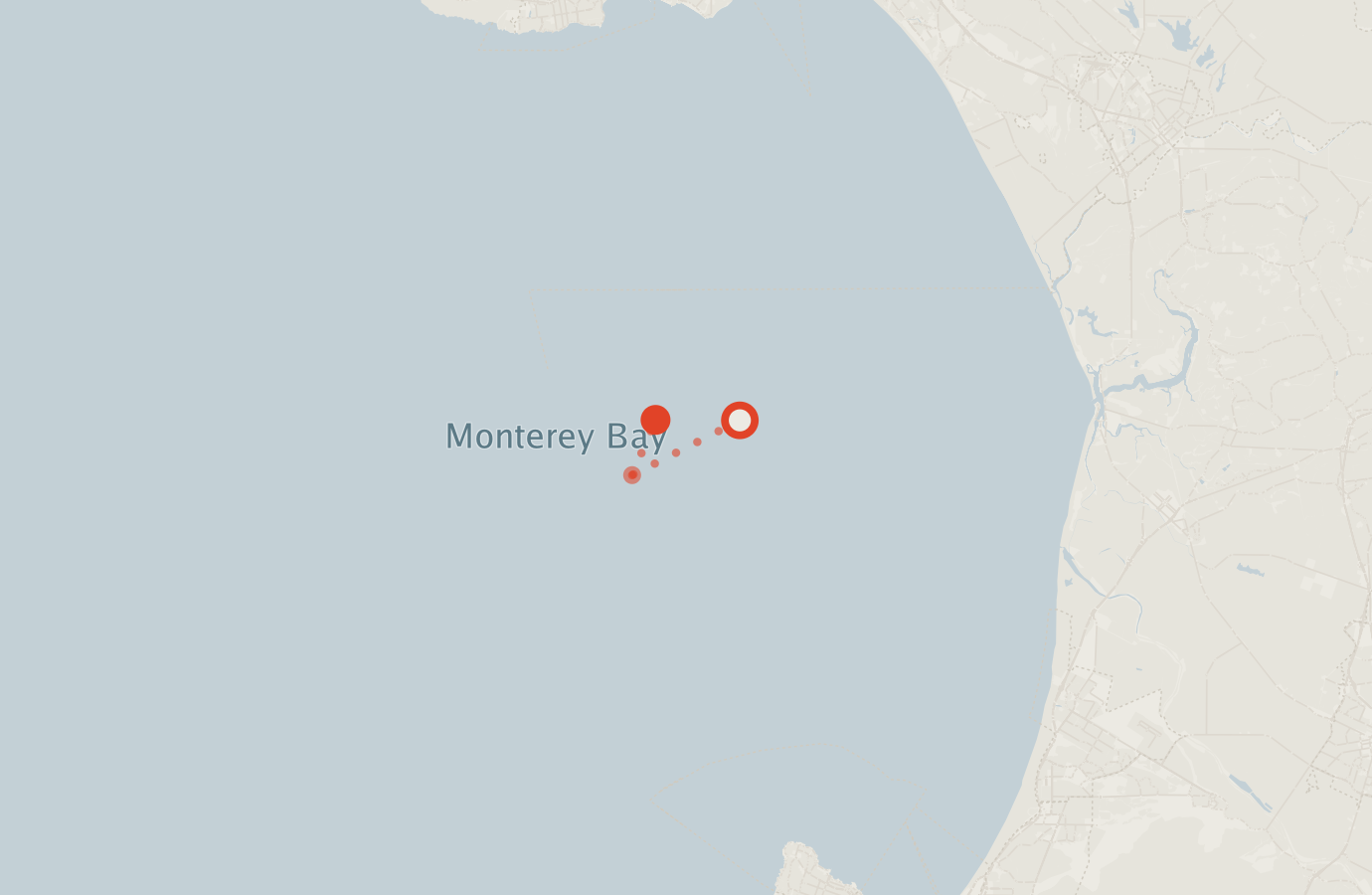 Activity map — real sighting points on an OpenStreetMap basemap