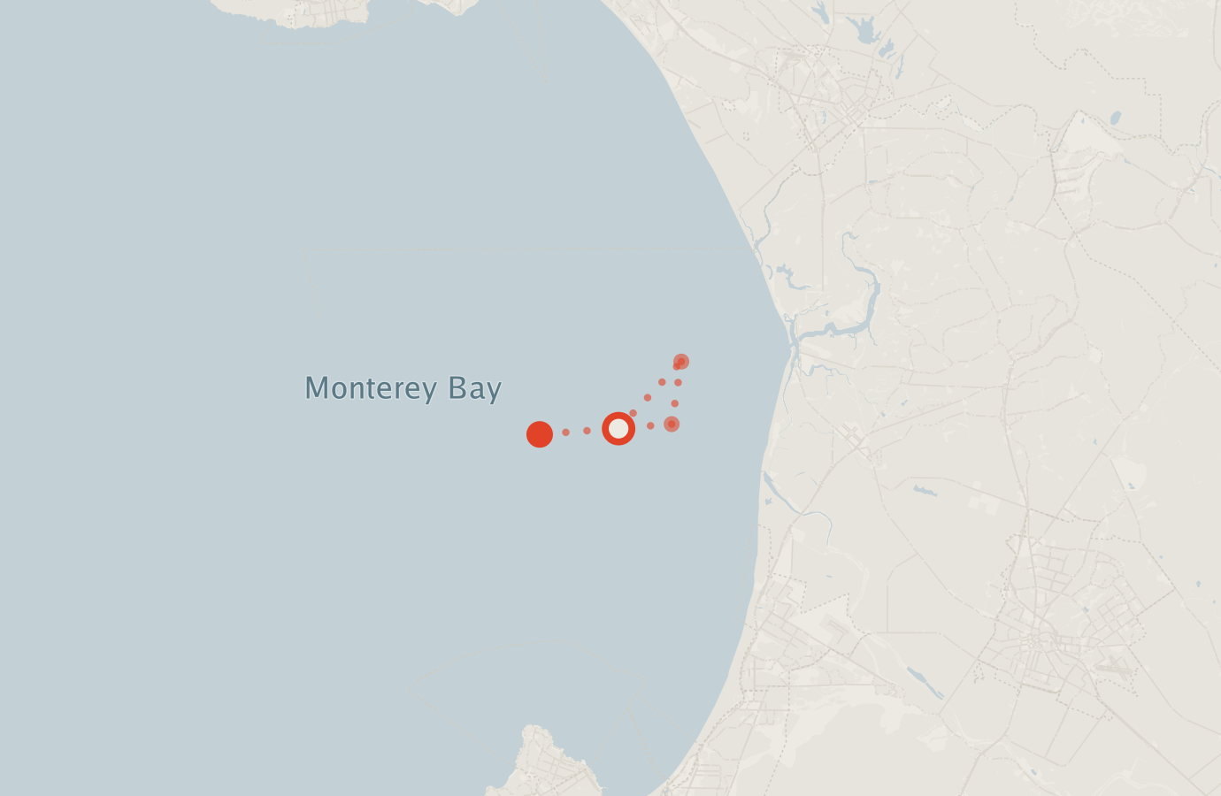 Activity map — real sighting points on an OpenStreetMap basemap
