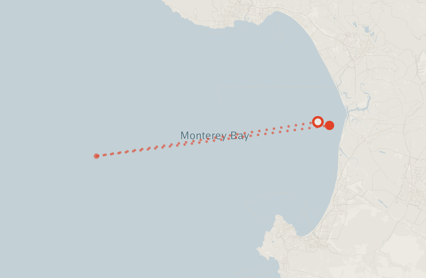 Activity map — real sighting points on an OpenStreetMap basemap