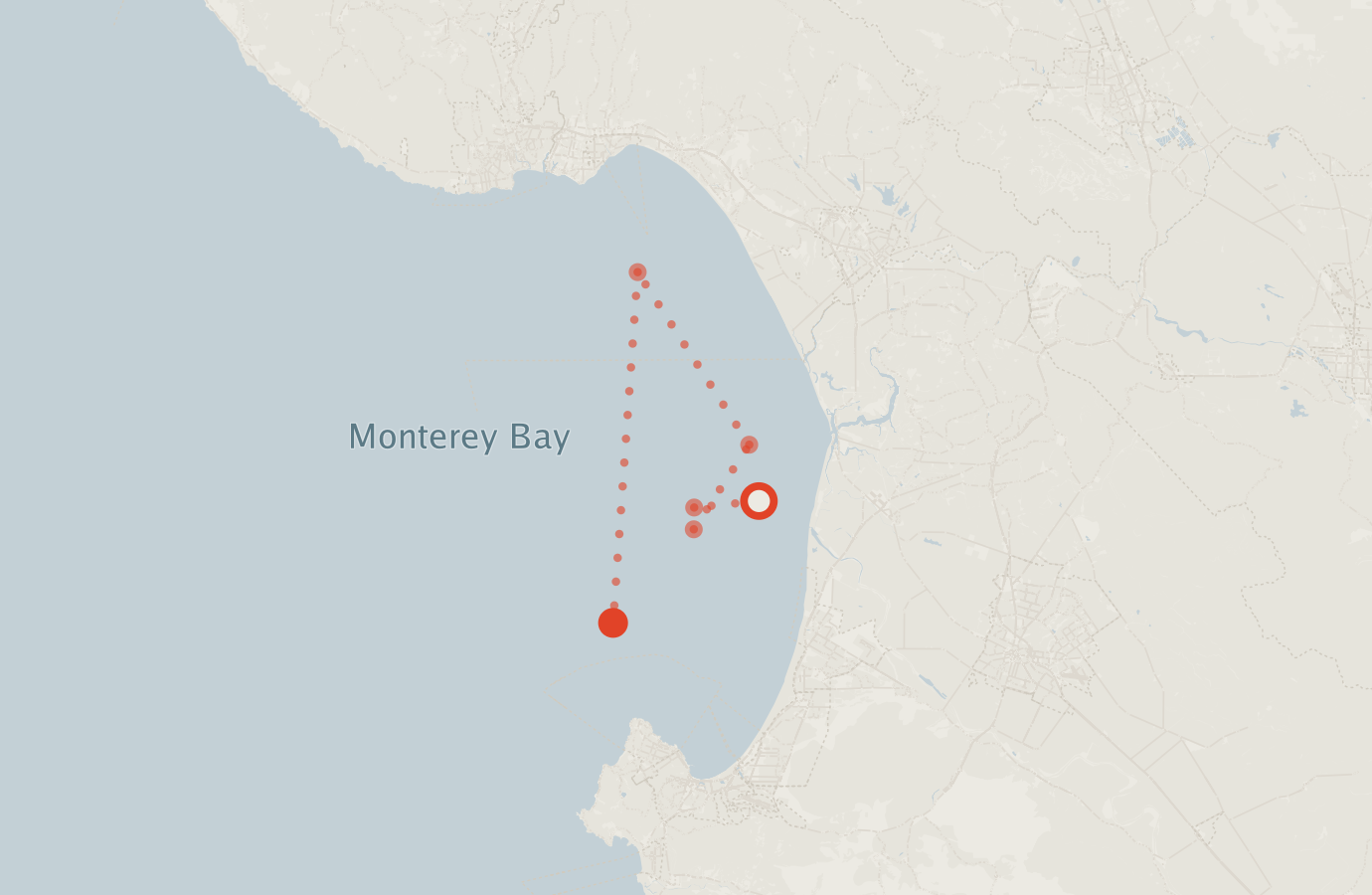Activity map — real sighting points on an OpenStreetMap basemap